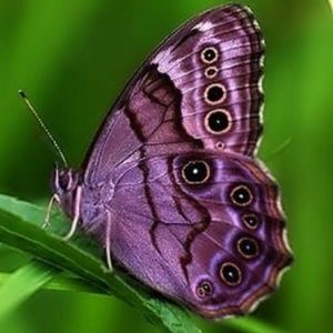 Meet your Newest Posher, Krystal 💎